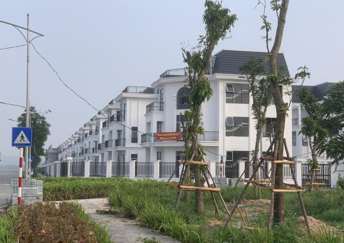 Biệt thự, nhà vườn HUD Mê Linh Central, nơi bạn có thể an tâm đầu tư