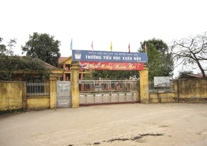 Bán đất tại Đường Lê Hữu Tựu, Đông Anh,  Hà Nội diện tích 45m2  giá 1 Tỷ