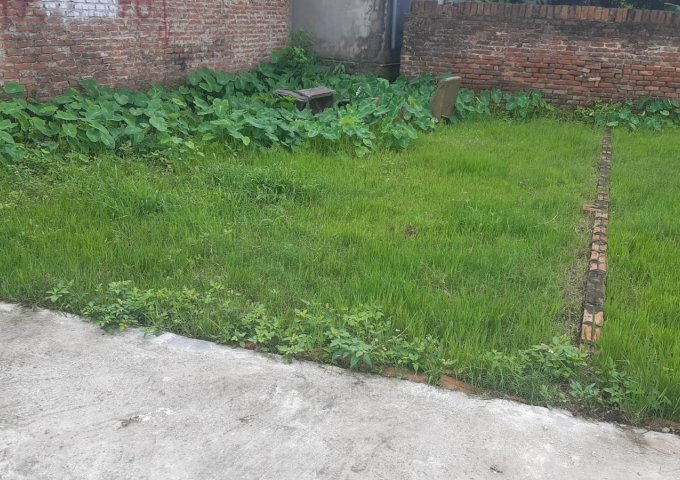 Bán đất tại Đường Lê Hữu Tựu, Đông Anh,  Hà Nội diện tích 45m2  giá 1 Tỷ