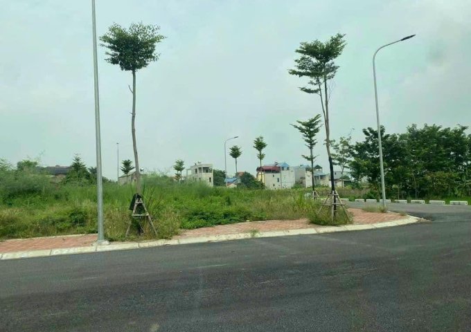 Bán đất đấu giá X2 xóm Ngõ Khê Nữ Nguyên Khê Đông Anh giá rẻ