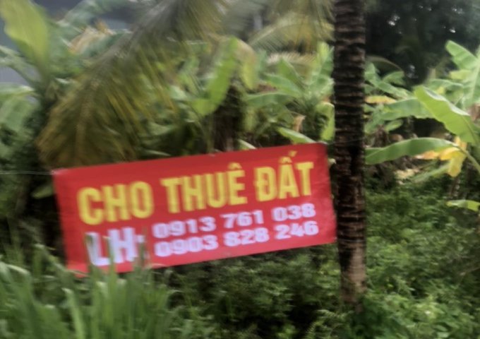 CHÍNH CHỦ Cho Thuê Nhanh Lô Đất Tại  Xã Nhị Bình, Huyện Hóc Môn, Tp Hồ Chí Minh