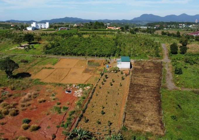 💯Bán đất thổ cư shr rẻ nhất thị trường trên Bảo Lộc Lâm Đồng.
5x20=100m2 chỉ 400tr