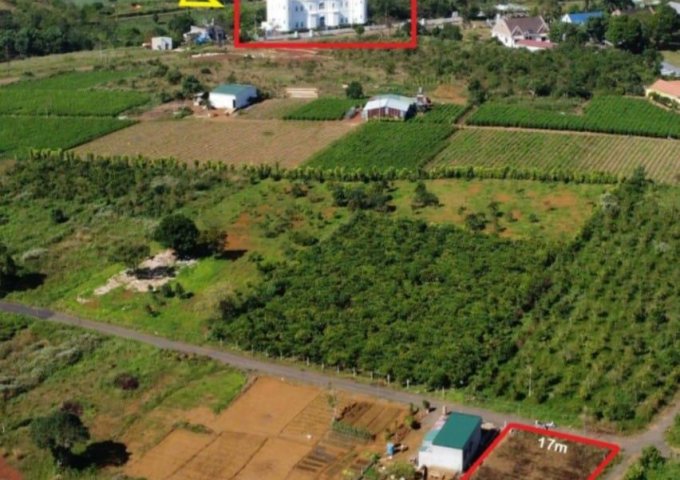 💯Bán đất thổ cư shr rẻ nhất thị trường trên Bảo Lộc Lâm Đồng.
5x20=100m2 chỉ 400tr