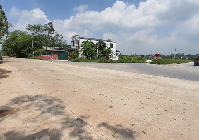  Bán đất thổ cư siêu rộng tại Thôn Quế, Hướng Đạo, Tam Dương. DT 4910m2