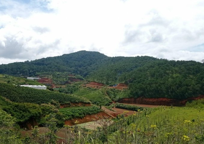 Bán đất tại Xã Lạc Dương, Lạc Dương,  Lâm Đồng diện tích 3,220m2  giá 2.5 Tỷ