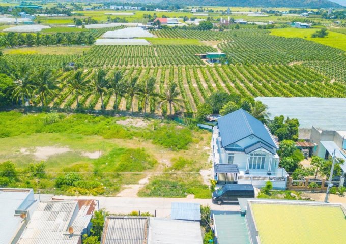 [KHÔNG PHẢI AI CŨNG BIẾT] Đầu tư đất tại Tuy Phong, Bình Thuận sẽ đem lại lợi nhuận bất ngờ