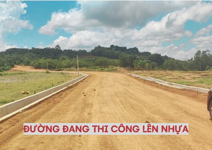 Bán đất mặt tiền nhựa lớn Lộc Ninh Bình Phước giá 380triệu