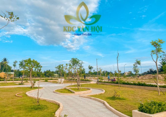 KDC Tân Hội đầu đường Thống Nhất Tp Phan Rang nơi thiên nhiên và cuộc sống giao hòa thích hợp để định cư. Chưa tới 10tr/m2 thanh toán 10 đợt