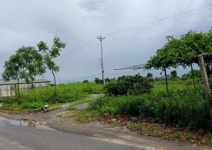 CẦN CHO THUÊ MẢNH ĐẤT MẶT ĐƯỜNG Địa chỉ: Tỉnh lộ 45, Yên Trung, Yên Định