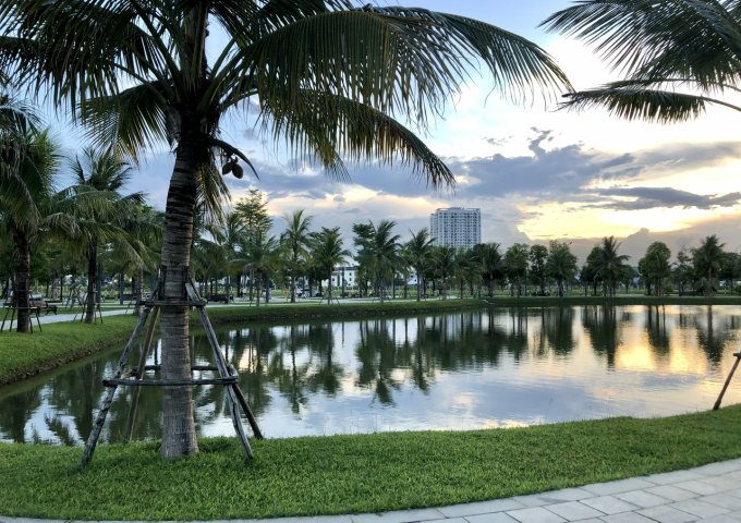 Cho thuê chung cư Eurowindow Thanh Hoá