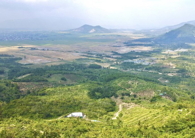 Bán 3hecta đất rừng view đẹp ở Diên Điền, Diên Khánh