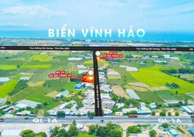 Siêu phẩm mùa hè đất mặt tiền view biển Bình Thuận