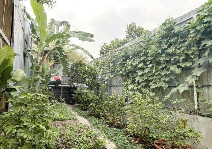 Bán gấp nhà vườn (12x17m) hẻm xe tải đường Phạm Hùng, xã Bình Hưng Bình Chánh