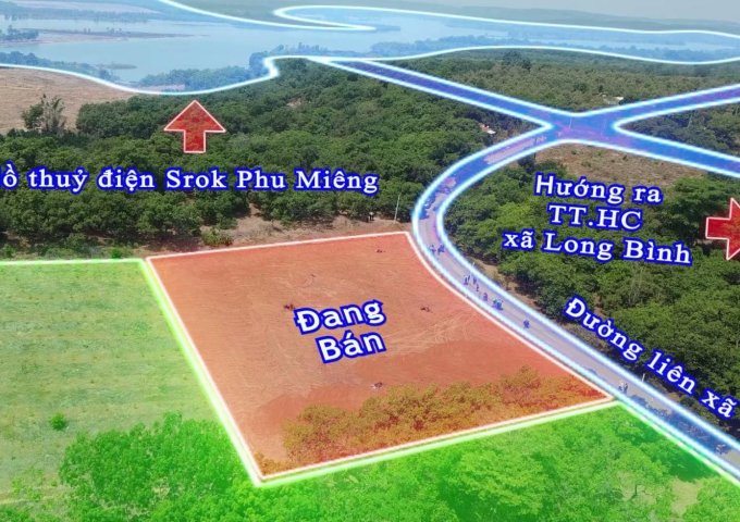 Bán Đất Sổ Sẵn 250m2, Thổ Cư, Đường Nhựa Nhà Nước Liền Kề Hồ Sinh Thái Srok Phu Miêng