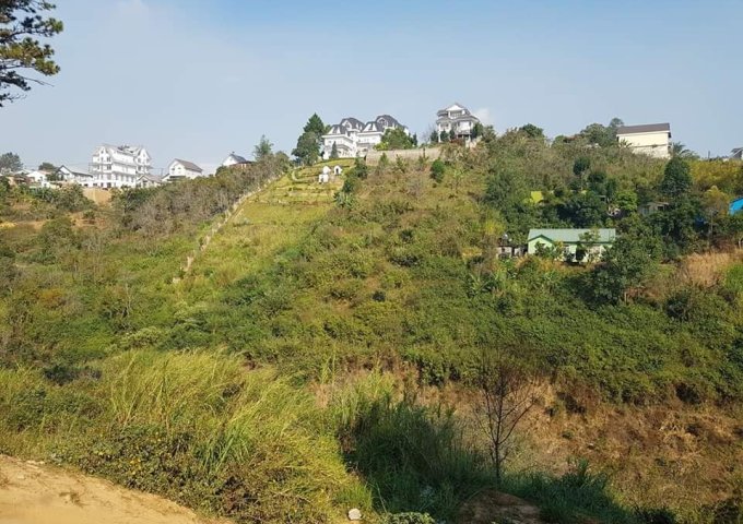 [ Loa Loa ] Giảm giá Bán gấp đất rộng view đẹp thích hợp XD Homestay đường Khe Sanh 650m2 giá chỉ 16.9 tỷ
