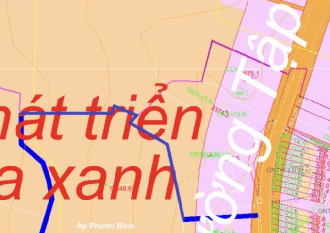 Chính chủ cần bán 2 thửa đất tại Ấp Phước Bình, xã Sông Xoài, huyện Tân Thành, BR-VT