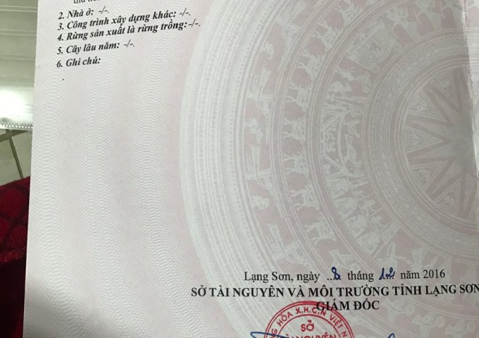 Chính chủ cần bán nhanh Lô Đất Xưởng Thuộc Thôn Đồng Lai - Xã Đồng Tân - Huyện Hữu Lũng - Lạng Sơn.