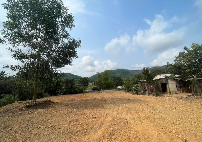 bán đất thổ cư ngang 15m đường nhựa Tỉnh Lộ 8B gần trung tâm huyện Khánh Vĩnh giá rẻ