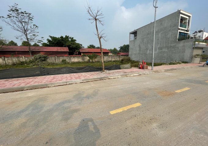 Bán đất dịch vụ Lai Sơn, Đồng Tâm, Vĩnh Yên 