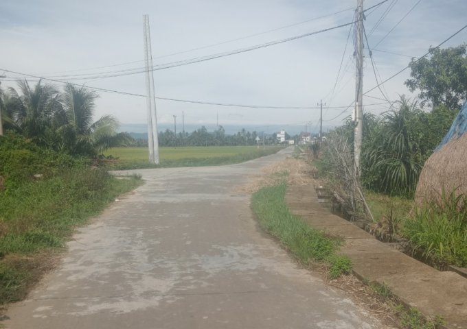 Chính chủ cần bán đất tại Huyện Phù Cát - Tỉnh Bình Định