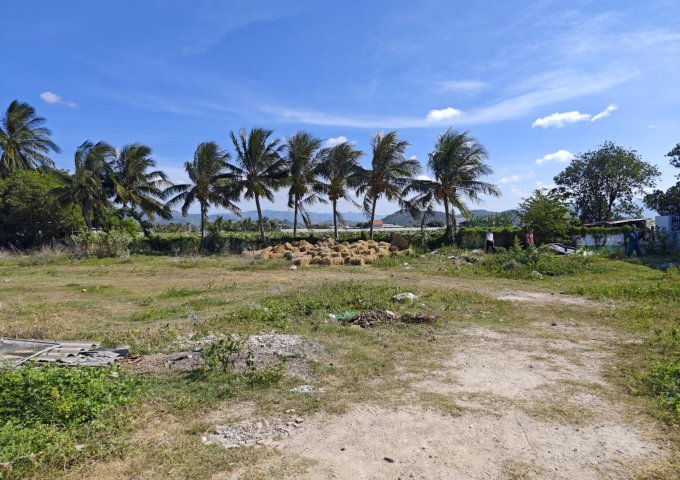 Không thể cầm lòng trước Đất Biển Bình Thuận - KDC Phước Thể