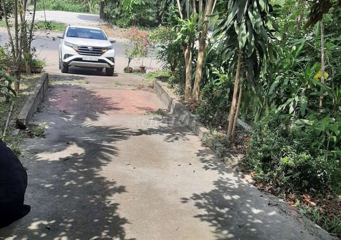 Chính chủ cần bán nhà 3 tầng 1 tum tại Cổ Đông, Sơn Tây