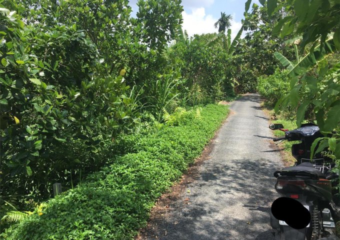 ĐẤT ĐẸP - GIÁ TỐT - CHÍNH CHỦ Bán Nhanh Lô Đất FULL THỔ CƯ Tại Huyện Mang Thít, Vĩnh Long