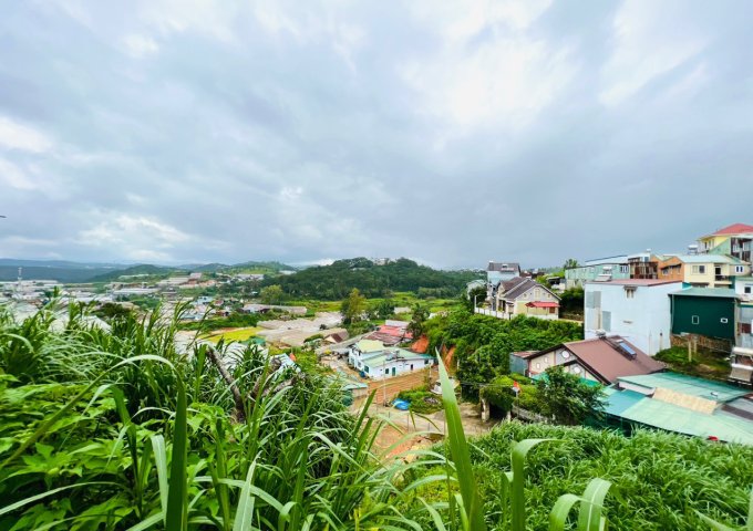 Bán đất tại Đường Nguyễn Siêu, Đà Lạt,  Lâm Đồng diện tích 485m2  giá 22 Triệu/m²
