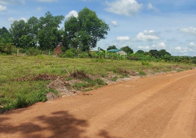 Bán đất có thổ cư 230m2 ngay gần KCN ở Bình Phước giá chỉ 2xx triệu