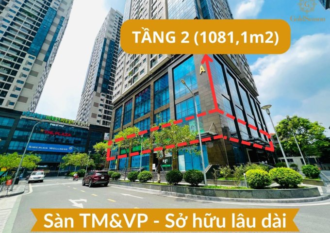 Bán gấp full sàn văn phòng 1081,1m2 - Sổ hồng lâu dài siêu hiếm quận Thanh Xuân - Đang cho thuê thu về 1,6 tỷ năm