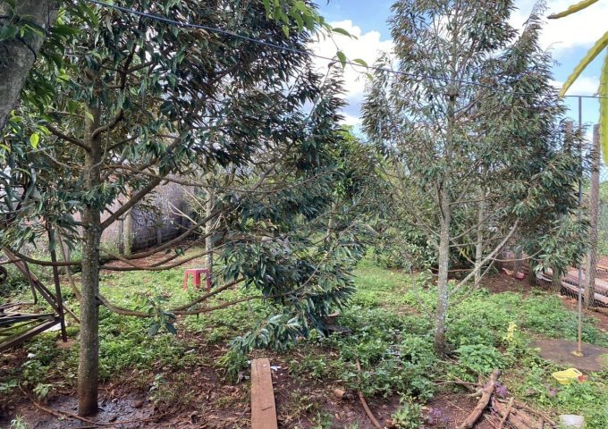 Chính chủ cần sang nhượng nhanh căn nhà Thuộc Hẻm 126 Phạm Hùng - Tân Sơn – Gia Lai