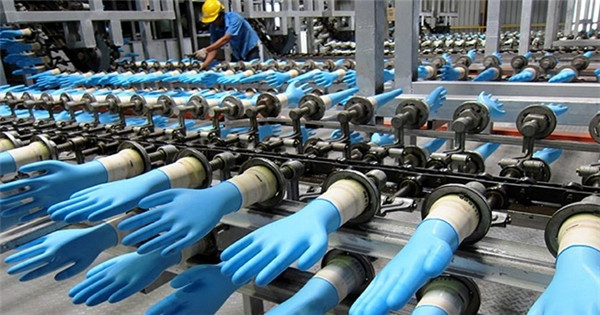Bán, Chuyển nhượng dự án nhà xưởng đang sản xuất găng tay trong KCN Tại tỉnh Bình Phước.