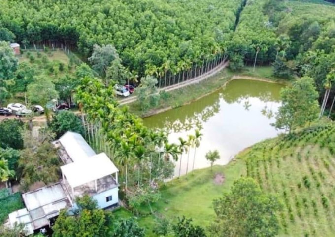 Bán Khu Du Lich Sinh Thái gần Bà Nà Hill, Đà Nẵng, 80Ha, Sông - Núi- Rừng, đang khai thác