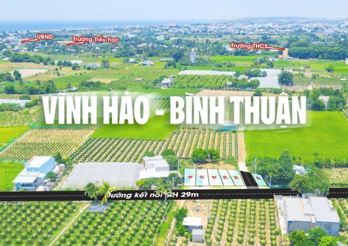 Đón đầu siêu hạ tầng - Đất biển Bình Thuận kết nối nhanh sân bay Phan Thiết