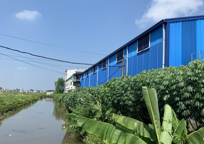 Bán nhà xưởng 7.000 m2 tại An Thái, An Lão, Hải Phòng.