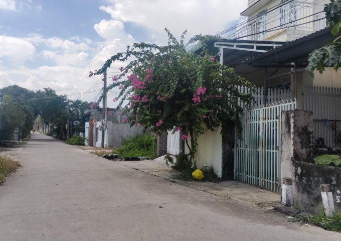 Cần bán nhà tại trung tâm Phú Mỹ thị xã Phú Mỹ đường số 3 Vạn Hạnh