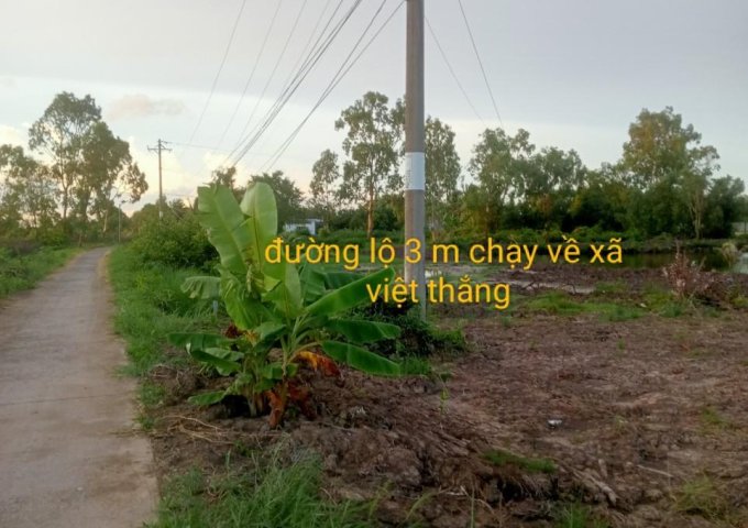 CHÍNH CHỦ Cần Bán Nhanh Lô Đất Vị Trí Đẹp Tại Phú Tân, Cà Mau
