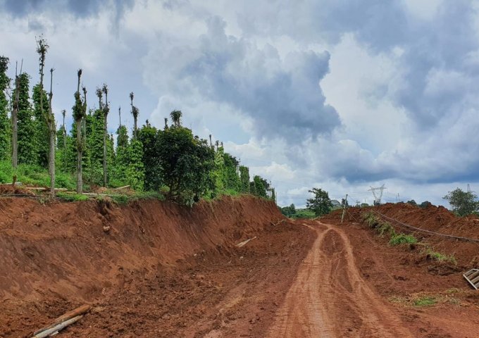 Bán 10760m2 đất phù hợp làm trang trại - Farm nghỉ dưỡng tại Gia Nghĩa, Đắk Nông