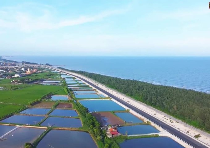 Cần bán đất nền ven biển Quất Lâm-Nam Định-vị trí vàng giá rẻ, full thổ cư sẵn sổ