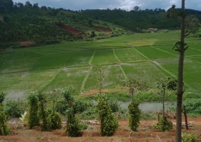 ĐẤT ĐẸP - GIÁ TỐT - Cần Bán Lô Đất Vị Trí Mặt Đường  Tại Xã Thuận An, Huyện Đắk Mil, Đắk Nông