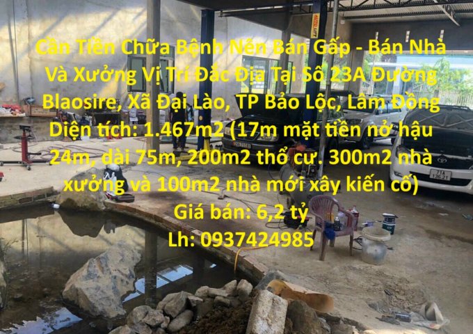 Cần Tiền Chữa Bệnh Nên Bán Gấp - Bán Nhà Và Xưởng Vị Trí Đắc Địa Tại TP Bảo Lộc, Lâm Đồng