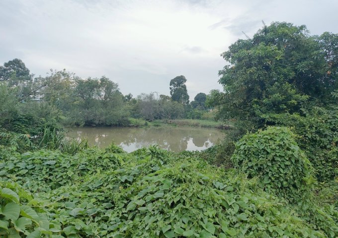 Đất vườn Tân Triều, Tân Bình, Vĩnh Cửu, Đồng Nai, 1761m2, giá 5 tỷ 200.