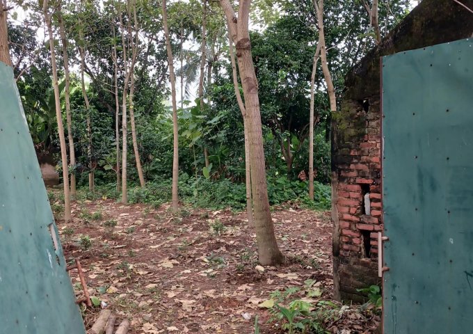 ( Cực Hiếm) bán lô đất rộng vuông vắn2 mặt tiền ngay đối diện khu công nghiệp Phú Bình Thái Nguyên 470 m2 có 300 thổ cư sát ngay đường vành Đai 5 giá có 1,65 tỷ