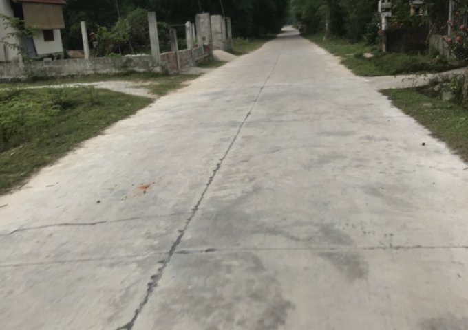 Đất Gần Trung Tâm Diện Tích 5x50 Có 100m Thổ Cư Chính Chủ Tại Bình Phước