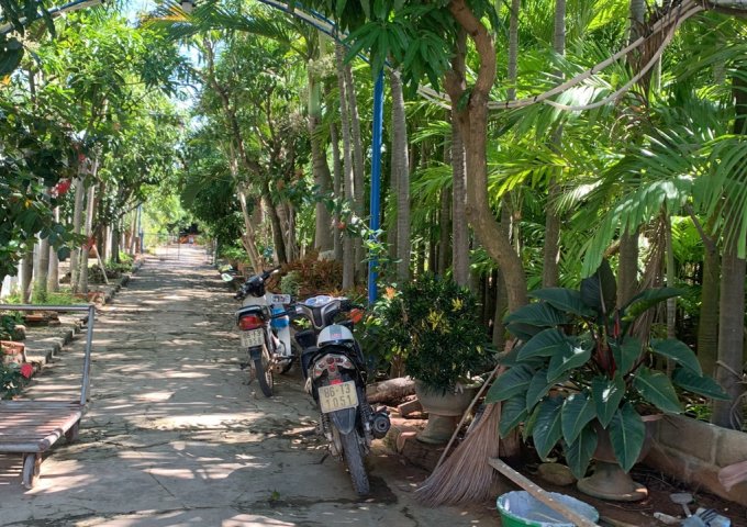 Bán đất Xã Hàm Thắng, Hàm Thuận Bắc