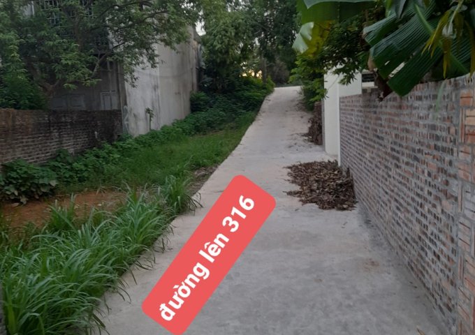 Chính chủ cần bán nhanh lô đất Thuộc Khu 5 -Thạch Đồng – Thanh Thuỷ - Phú Thọ.