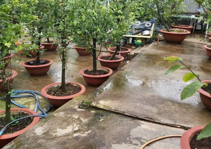 ĐẤT ĐẸP - GIÁ TỐT - CHÍNH CHỦ Bán Gấp Lô Đất Vị Trí Đẹp Tại Xã Bình Thạnh, Huyện Cao Lãnh, Đồng Tháp