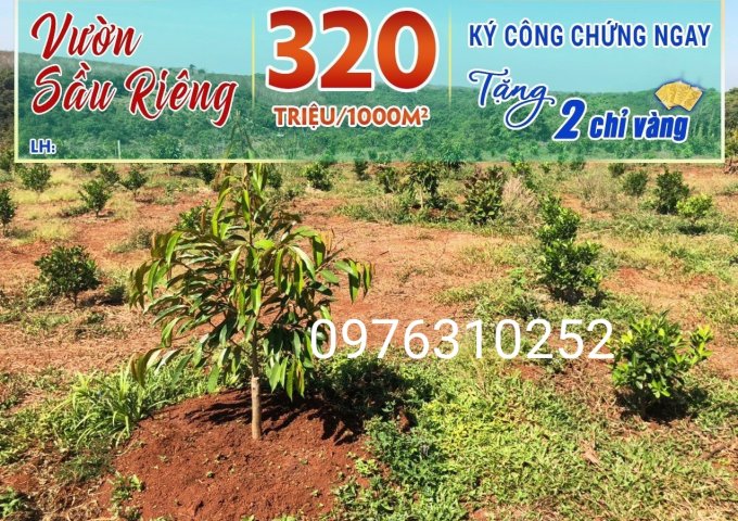 Bán đất tại Đường ĐT 741, Phú Giáo,  Bình Dương diện tích 2,000m2  giá 320 Triệu
