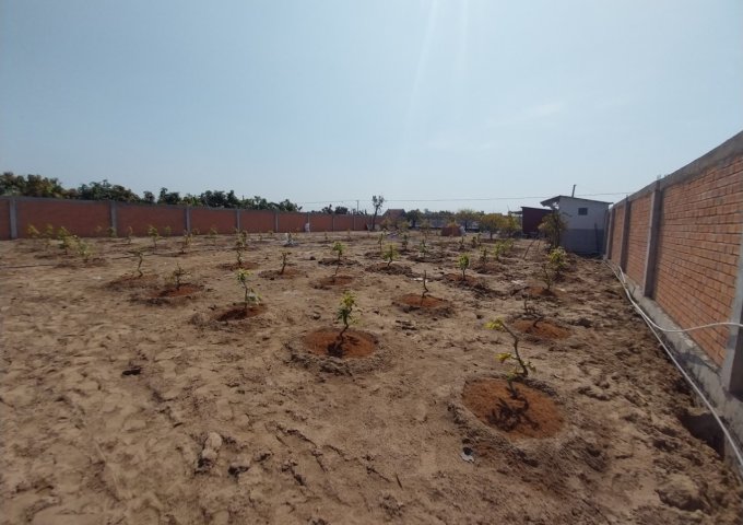 Bán 2.8 công ruộng, mặt tiền tỉnh lộ 944, Hòa Bình, Chợ Mới, AG 