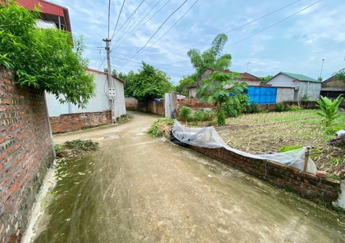 Bán đất tại Xã Minh Phú, Sóc Sơn,  Hà Nội diện tích 127.5m2  giá 1.1 Tỷ